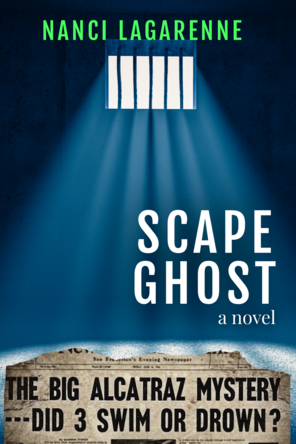 Ghost Fiction book